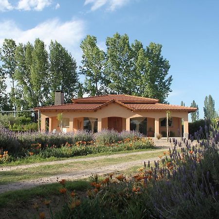 Casona Aventurados Villa Lujan de Cuyo Eksteriør billede