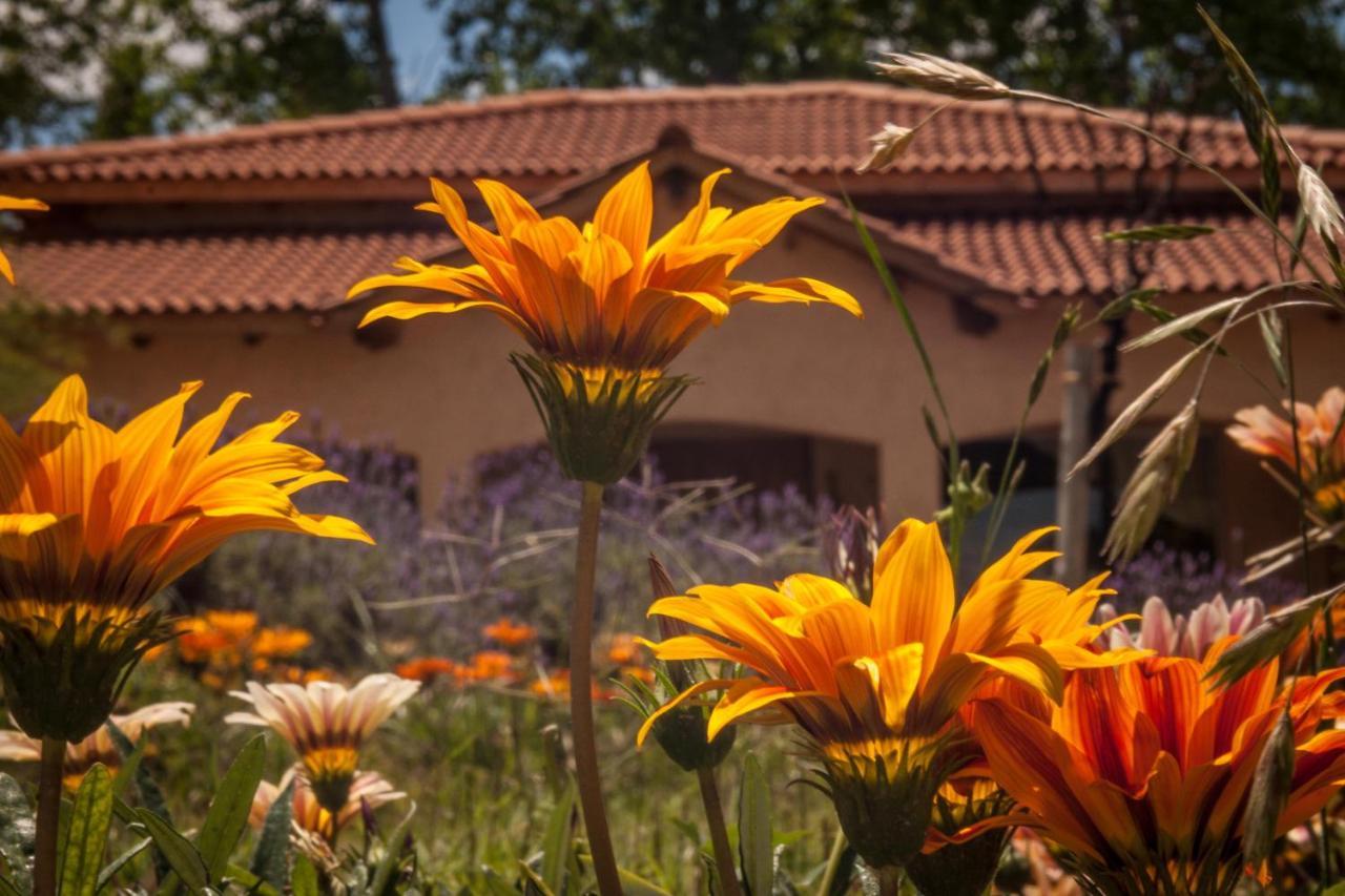 Casona Aventurados Villa Lujan de Cuyo Eksteriør billede