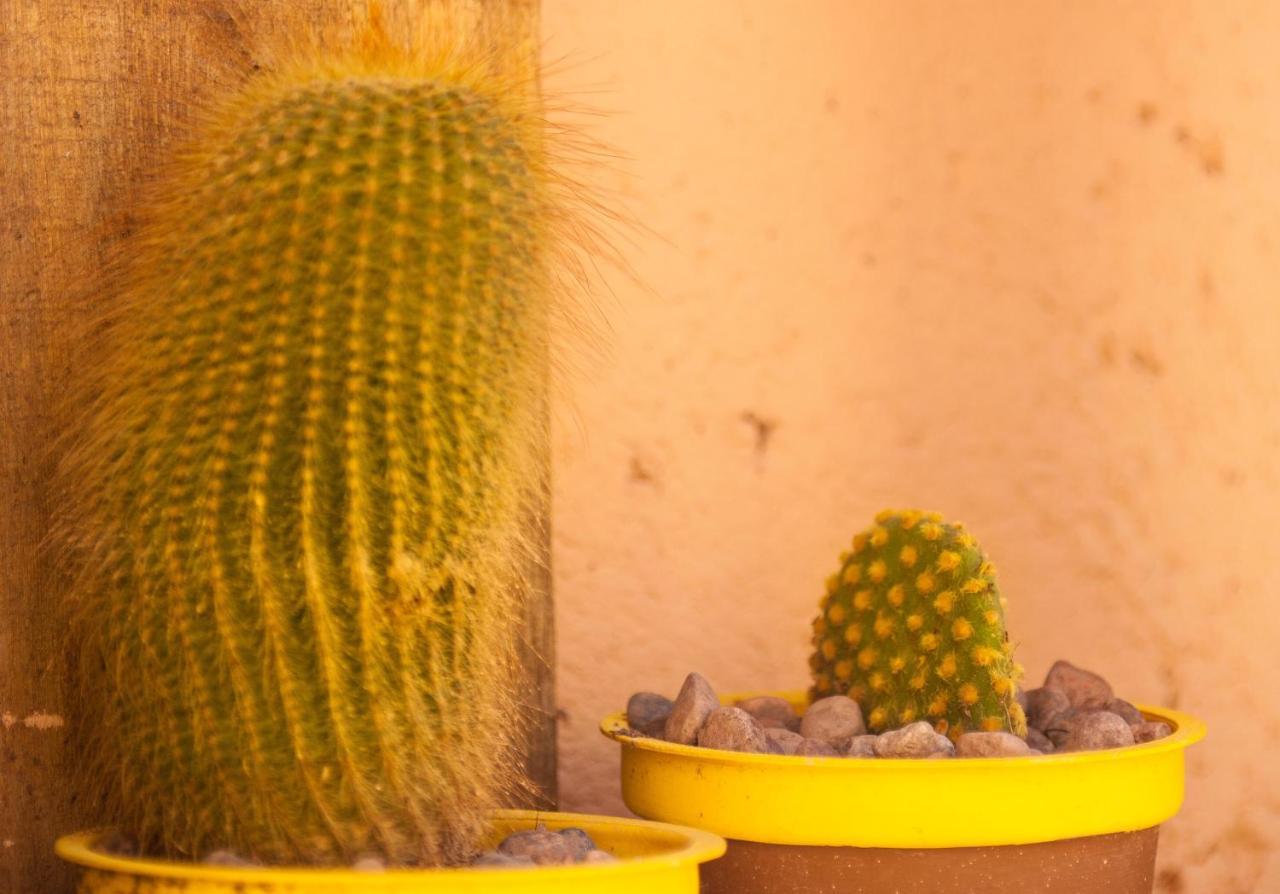Casona Aventurados Villa Lujan de Cuyo Eksteriør billede